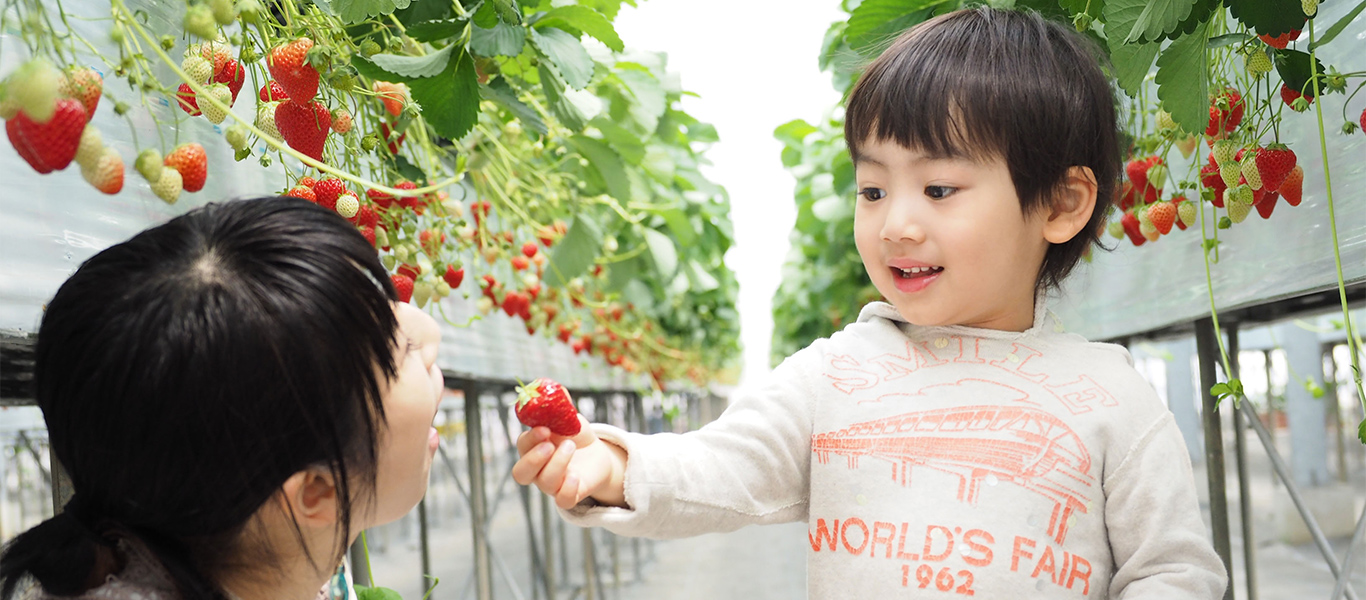 わたしたちは、子どもの幸せを願い、最上の保育を目指します。